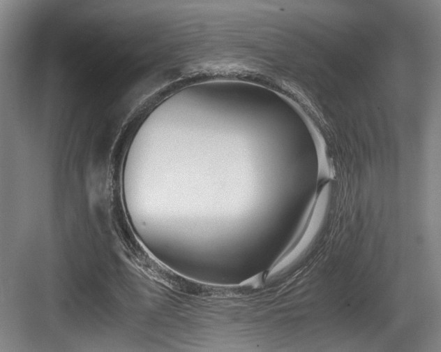 X0000084030583200702161437