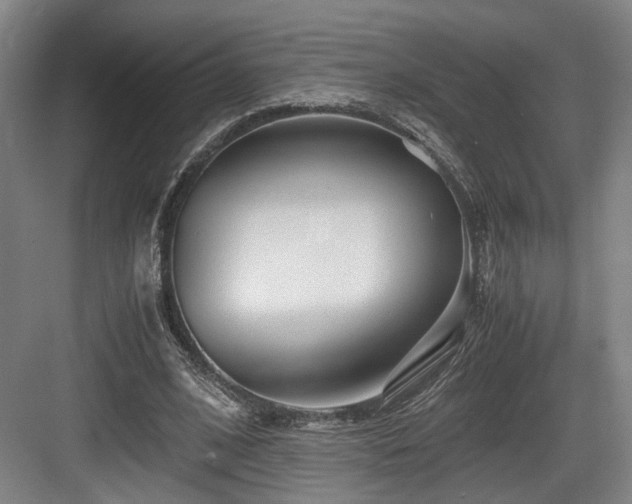 X0000084030584200702161437