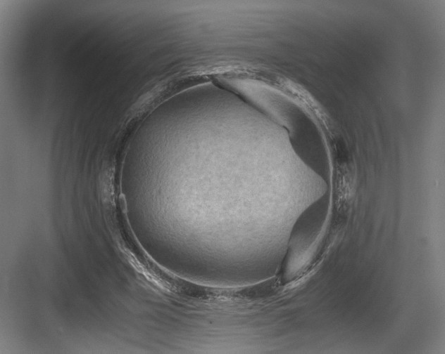 X0000084030585200702161437