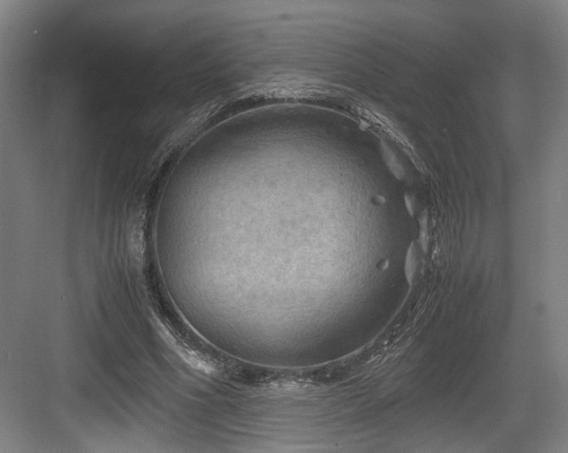 X0000084030586200702161437