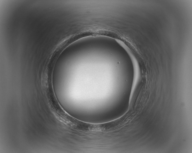 X0000084030587200702161437