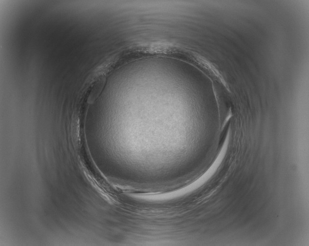 X0000084030589200702161437