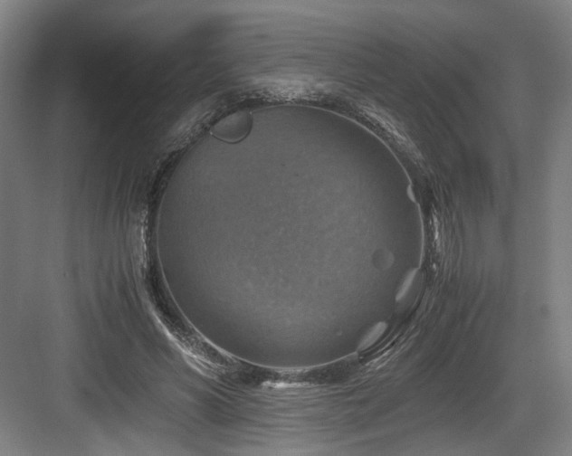 X0000084030590200702161437