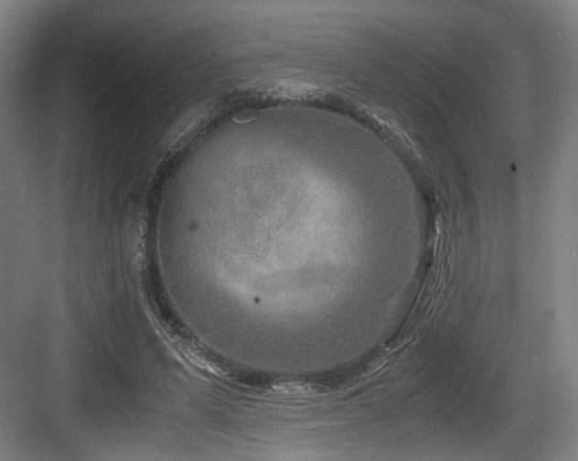 X0000084030591200702161437