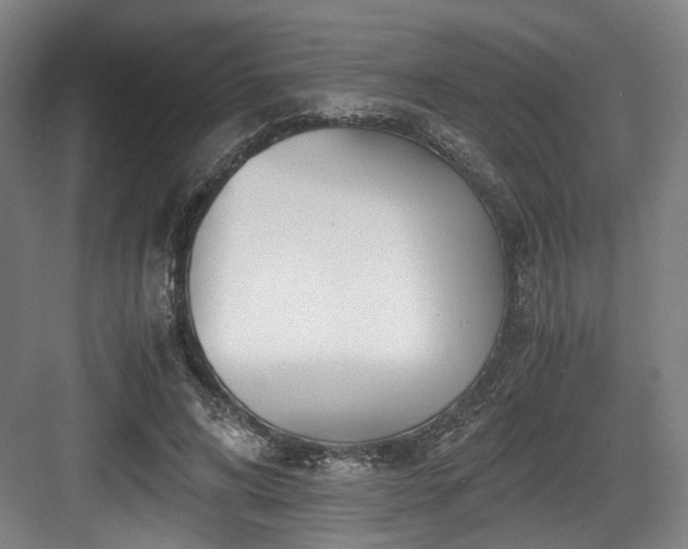 X0000084030592200702161437