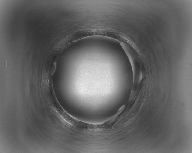 X0000084030593200702161437