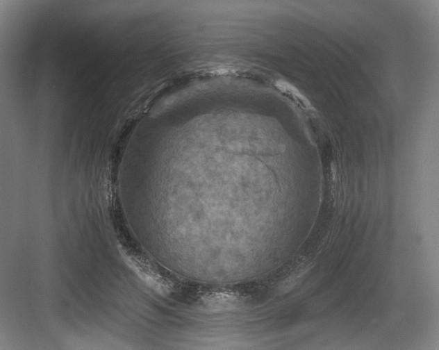 X0000084030594200702161436