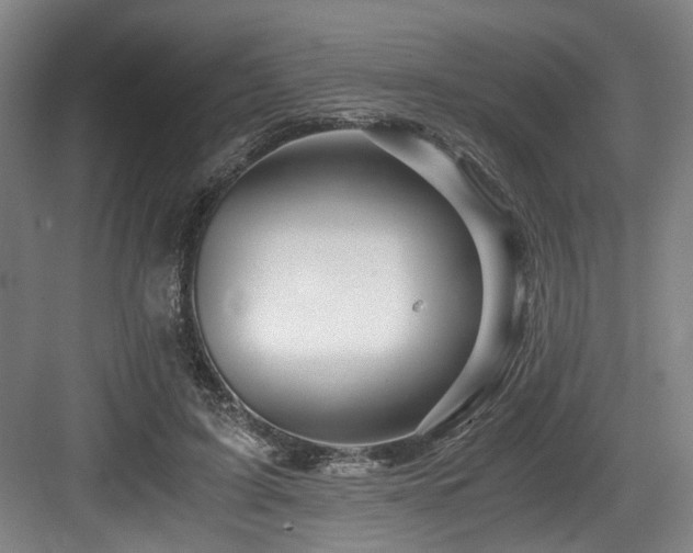 X0000084030595200702161436