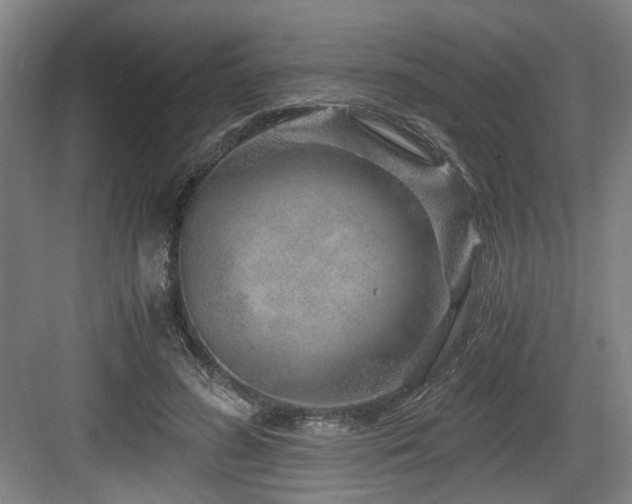 X0000084030596200702161436