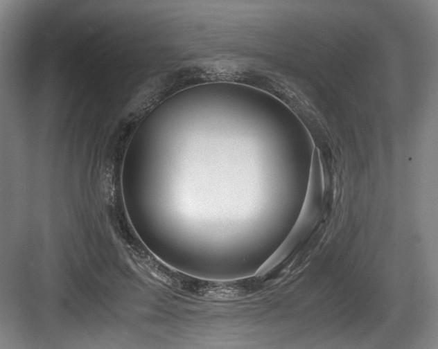 X0000084030599200702161436