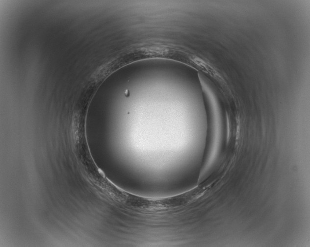 X0000084030600200702161436