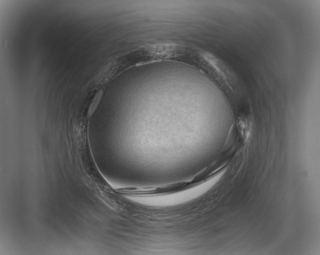 X0000084030601200702161436