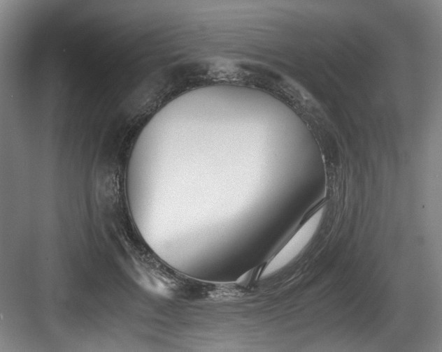 X0000084030603200702161436