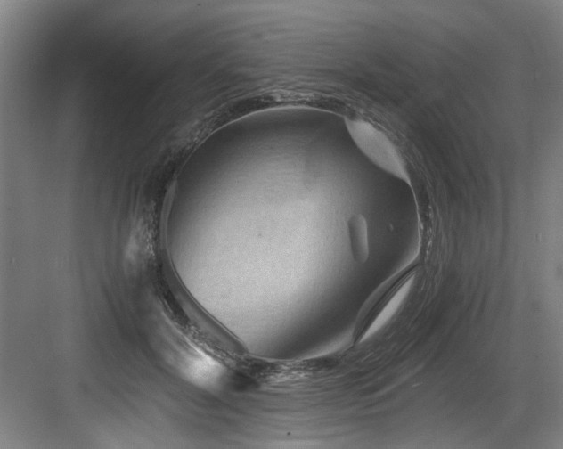 X0000084030604200702161436