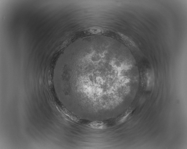 X0000084030606200702161436