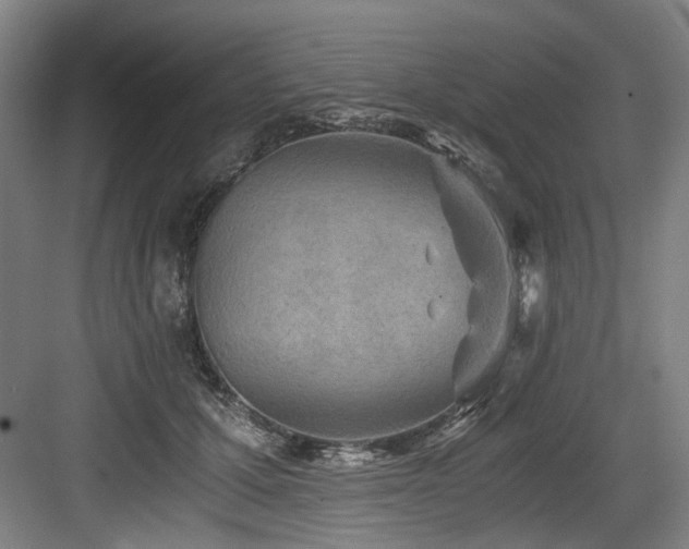 X0000084030607200702161436