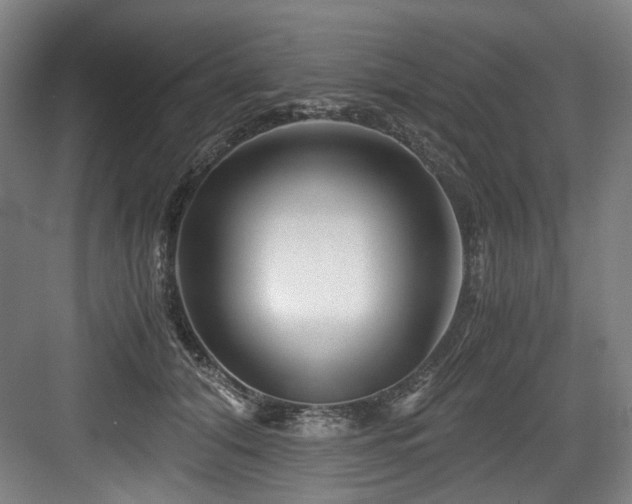 X0000084030608200702161436