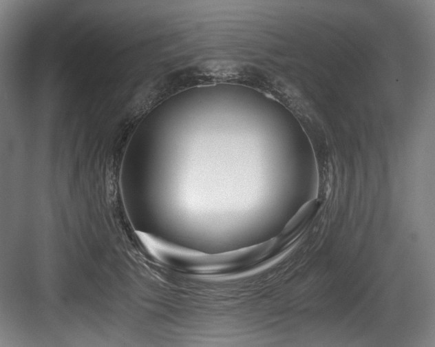 X0000084030609200702161436