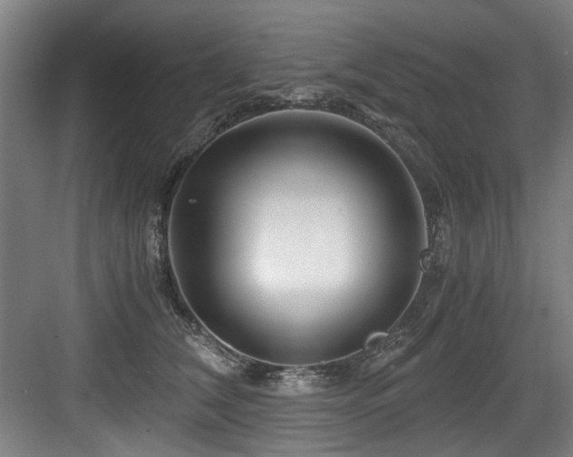 X0000084030612200702161436