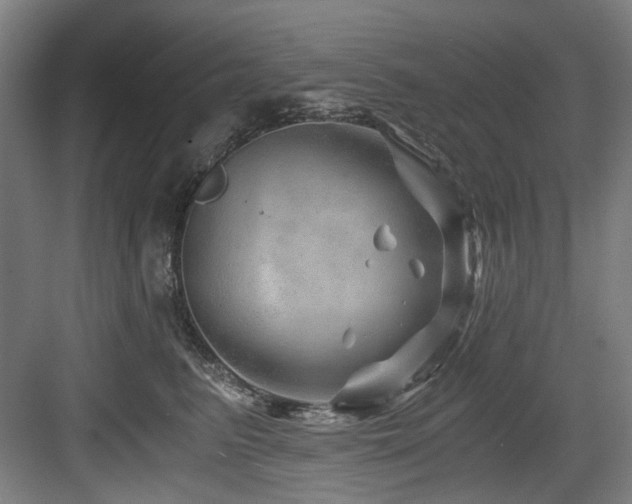 X0000084030615200702161436