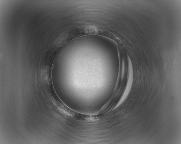 X0000084030616200702161436