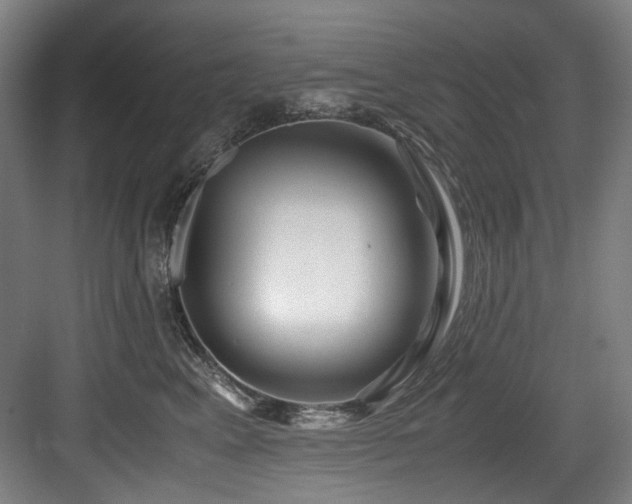 X0000084030617200702161436