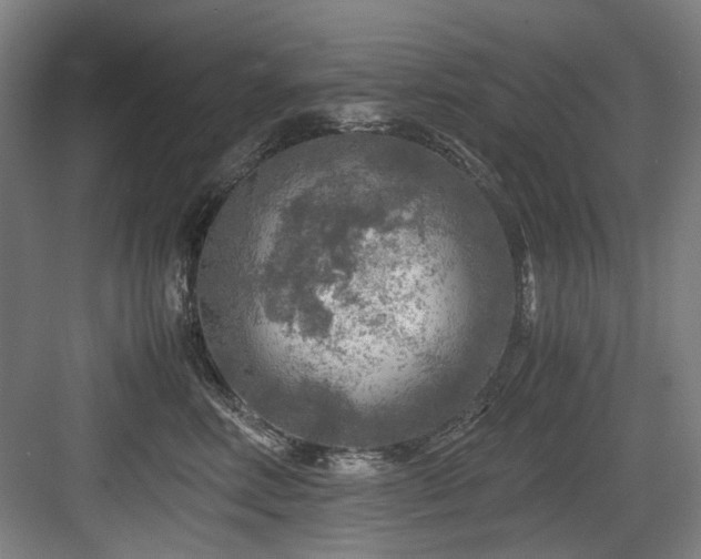 X0000084030618200702161436