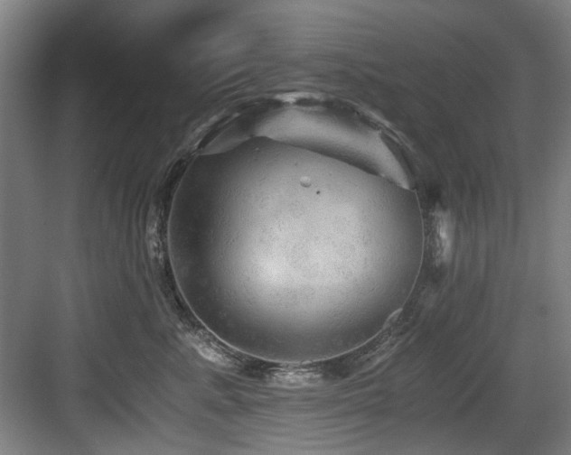 X0000084030619200702161436