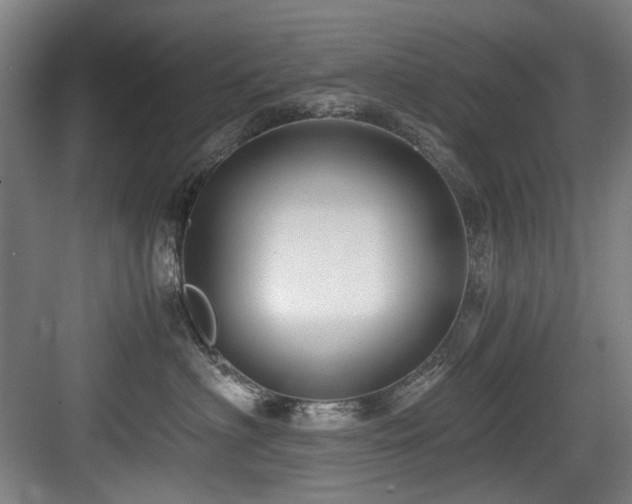 X0000084030622200702161436