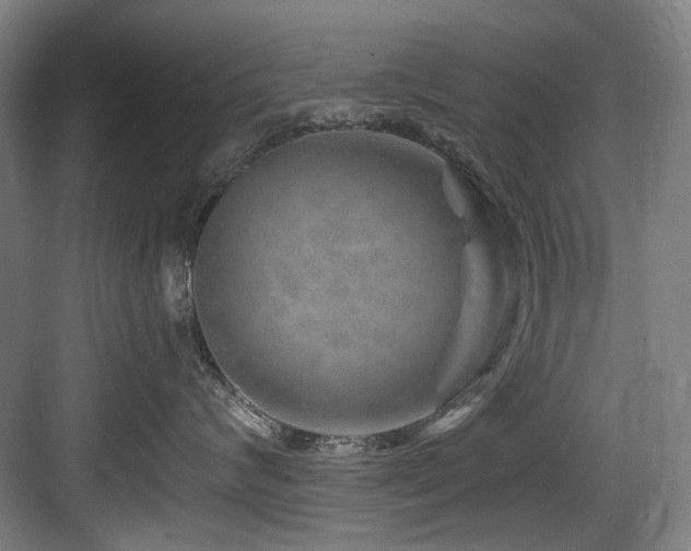 X0000084030624200702161436