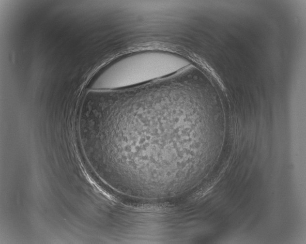 X0000084030625200702161435