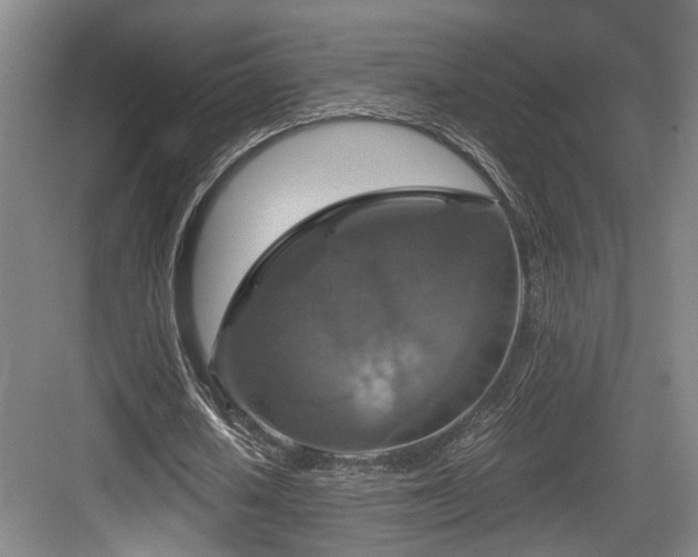 X0000084030626200702161435