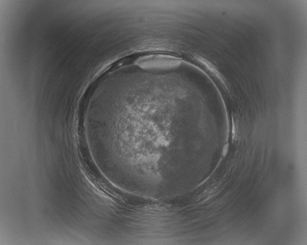 X0000084030627200702161435