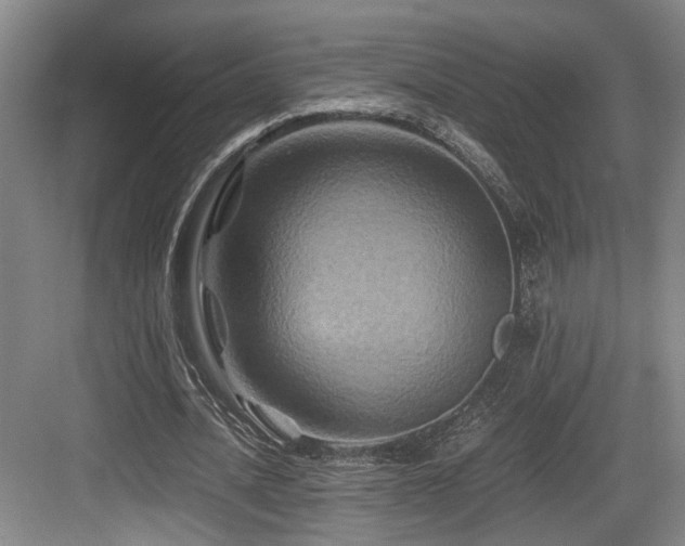 X0000084030628200702161435