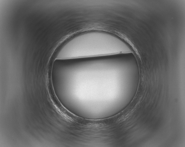 X0000084030629200702161435