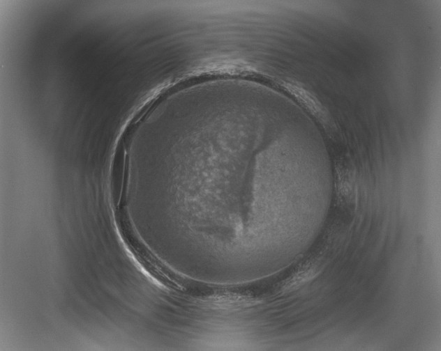 X0000084030630200702161435