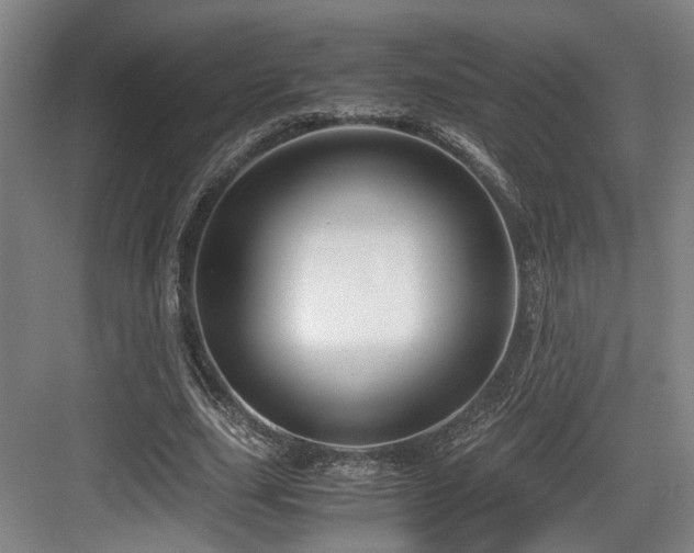 X0000084030631200702161435