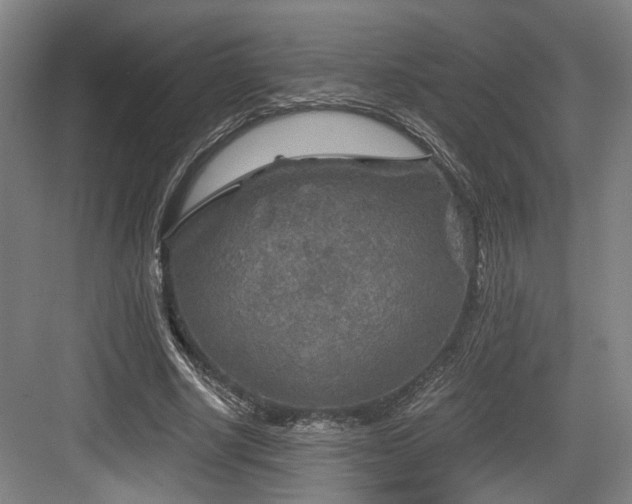 X0000084030634200702161435