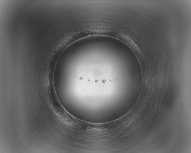 X0000084030635200702161435