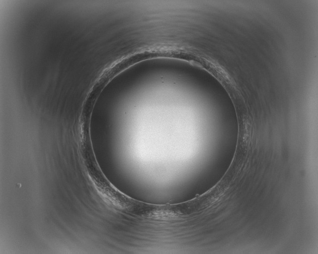 X0000084030636200702161435