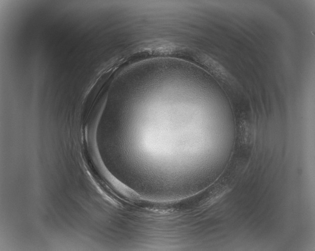 X0000084030638200702161435