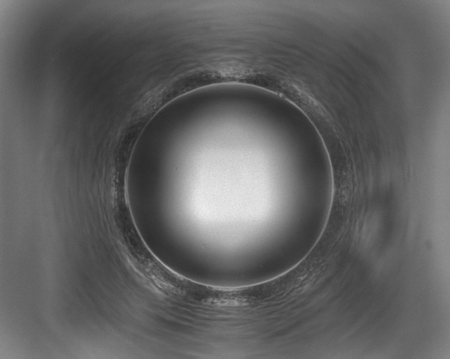 X0000084030639200702161435