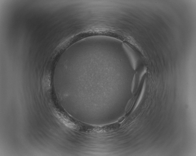 X0000084030640200702161435