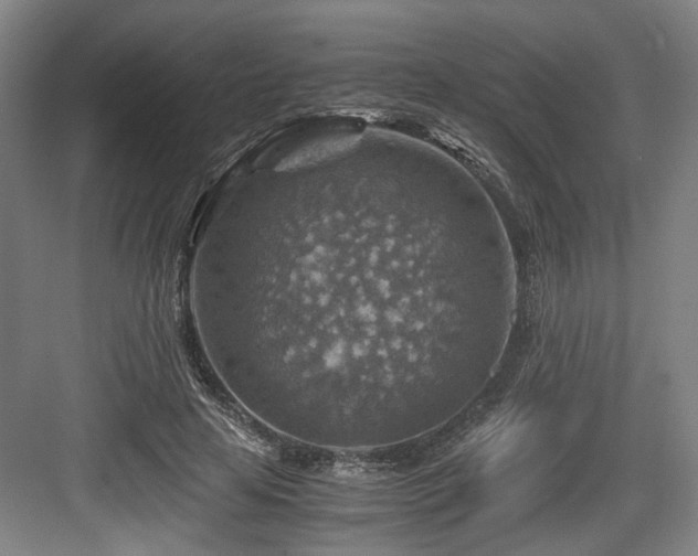 X0000084030641200702161435