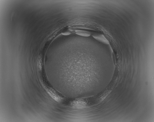 X0000084030644200702161435