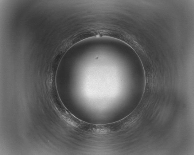 X0000084030645200702161436