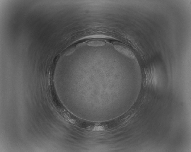 X0000084030647200702161436