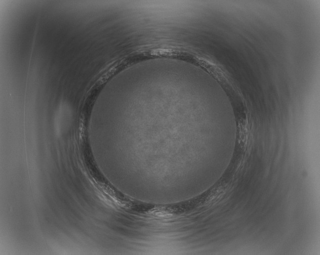 X0000084030648200702161436