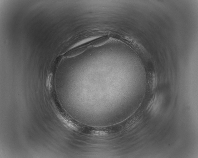 X0000084030649200702161436