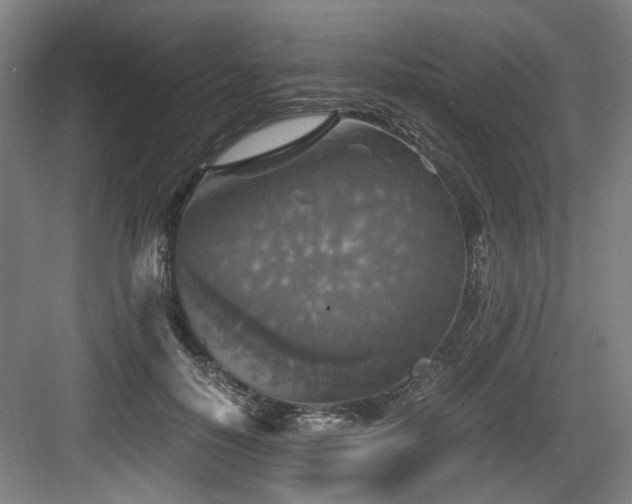 X0000084030650200702161436